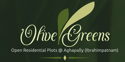 olive greens